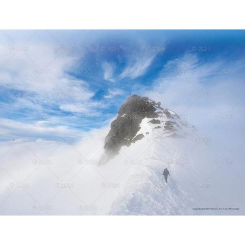 Kalendarz ścienny PEJZAŻE TATRZAŃSKIE WIELOPLANSZOWY 12K 320mm x 470mm Lucrum (RW3)