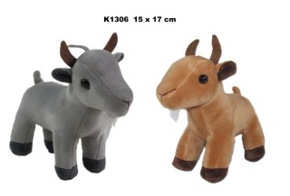 Pluszak Koza 2 kolory [mm:] 170 Sun-Day (169730)