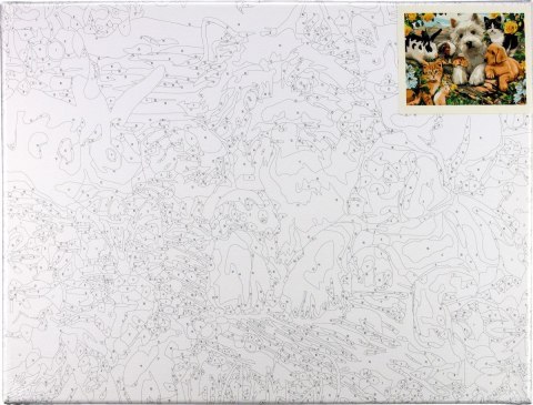 Zestaw kreatywny Malowanie po numerach 30x40cm Zwierzęta Flamingo Line (FC203)
