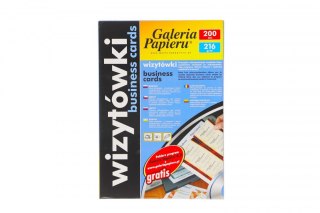 Papier ozdobny (wizytówkowy) Leonardo A4 Galeria Papieru