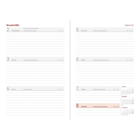 Kalendarz nauczyciela książkowy (terminarz) A5TN060B- 2024/2025 A5 PCV bezbarwny A5 Wydawnictwo Wokół Nas (EKO)