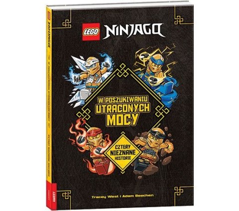 Książka dla dzieci Ameet LEGO® NINJAGO™ (GMG 6701)