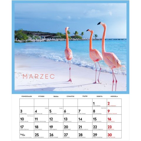 Kalendarz ścienny 5902277358394 PODRÓŻE PLANSZOWY 335mm x 400mm Interdruk (33,5X40CM)