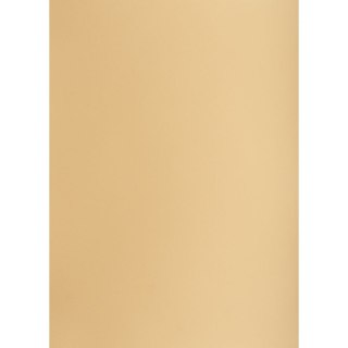 Brystol A1 jasnobrązowy 160g 25k [mm:] 610x860 TOP-2000 (400149527)