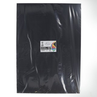 Brystol A1 czarny 225g 10k Protos