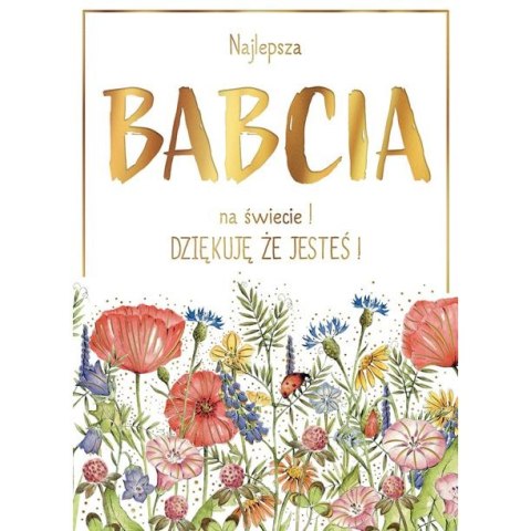 Kartka składana Karnet B6 BiDZ ŁAKA BABCIA B6 Henry (5905701487615)