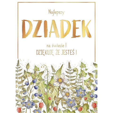 Kartka składana Karnet B6 BiDZ LAS DZIADEK B6 Henry (5905701487592)