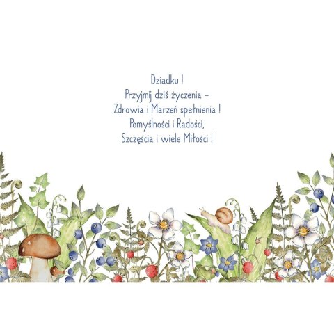 Kartka składana Karnet B6 BiDZ LAS DZIADEK B6 Henry (5905701487592)