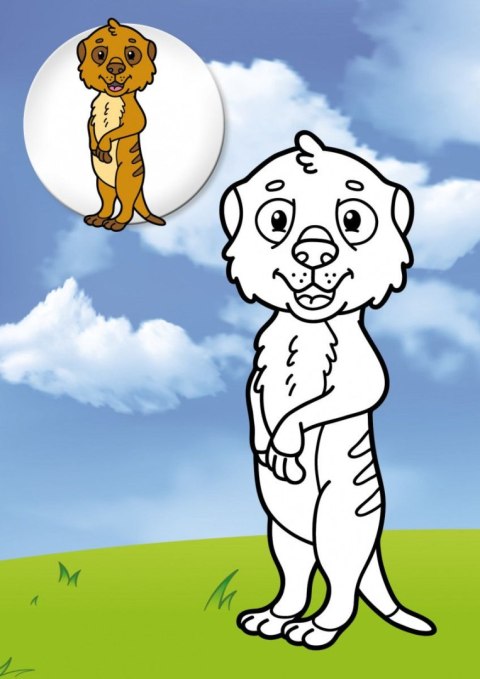 Kolorowanka Dzikie Zwierzęta