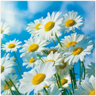 Serwetki TaT Sun Daisies mix bibuła [mm:] 330x330 Paw (TL126600)