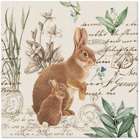 Serwetki Lunch WN Mystery Bunny mix nadruk bibuła [mm:] 330x330 Paw (SDL140200)