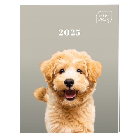Kalendarz książkowy (terminarz) 5902277358691 8x15,5 kieszonkowy 80mm x 155mm Interdruk (64 STRONY)