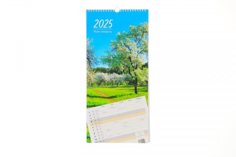 Kalendarz ścienny planer miesięczny 290x419mm 12-planszowe 2025 Michalczyk i Prokop (T-109-01)