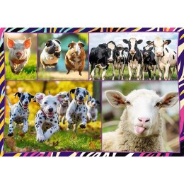 Puzzle zwierzaki 4x250 el. Trefl (13313)