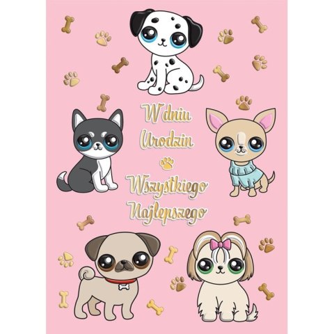 Kartka składana B6 pieski B6 Henry (5905701484195)