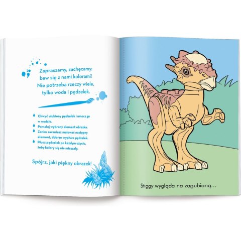 Książka dla dzieci Maluj wodą Ameet