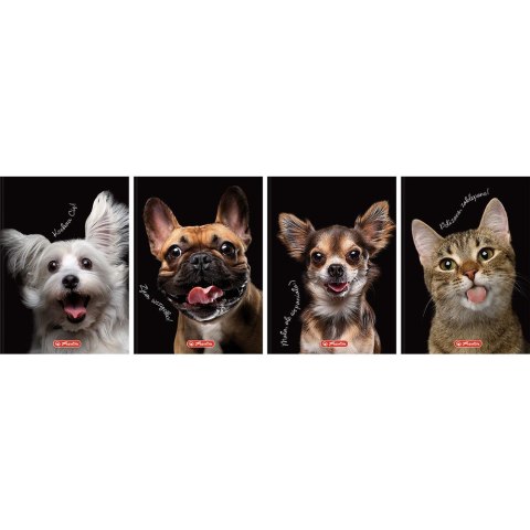 Brulion Crazy Animal A6 80k. 70g krata Herlitz (400196850)