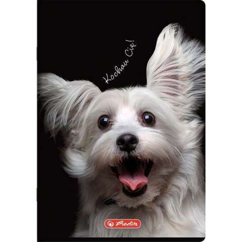 Zeszyt Crazy Animal A5 80k. 70g krata Herlitz (400196839)