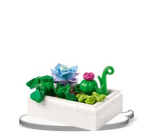 Książka dla dzieci LEGO® Botanicals. Ameet (MAB 6601)