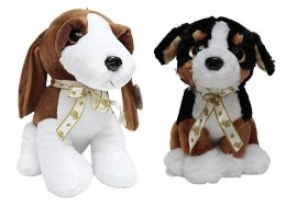 Pluszak piesek z kokardą duży Deef (03785)