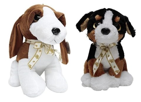 Pluszak piesek z kokardą duży Deef (03785)
