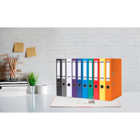 Segregator dźwigniowy Classic A4 50mm biały Bantex (400143825)