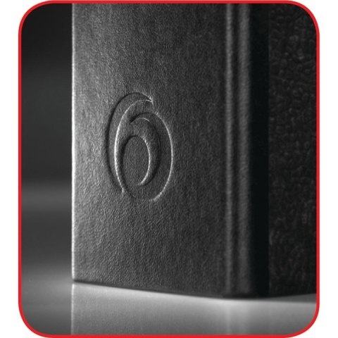 Segregator dźwigniowy podwójny mechanizm 5190806 A4 80mm marmurek Herlitz (300007017)