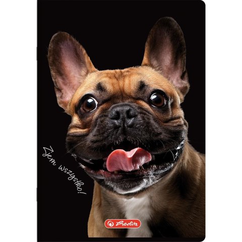 Zeszyt Animals A5 16k. 70g krata kolorowa Herlitz (400196855)