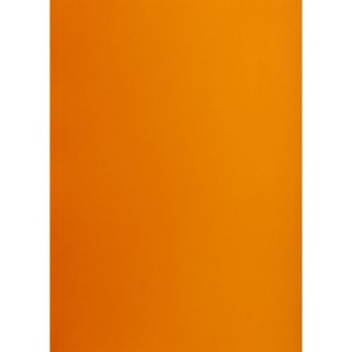 Brystol pomarańczowy B1 pomarańczowy 225g 1k Creatinio (400150261)