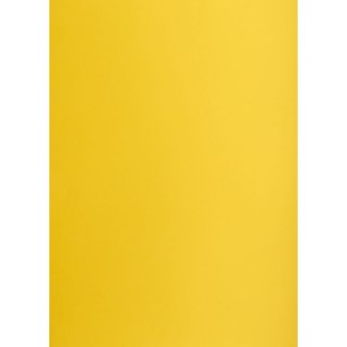 Brystol żółty ciemny B1 żółty 225g 1k Creatinio (400150257)