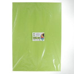 Brystol A1 czerwony 225g 10k Protos