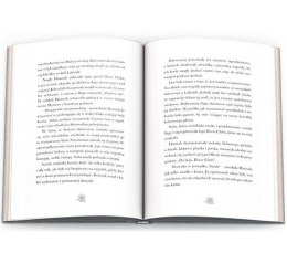 Książka dla dzieci HORSE CLUB. Niesamowity jeździec Ameet (CBH 8401)