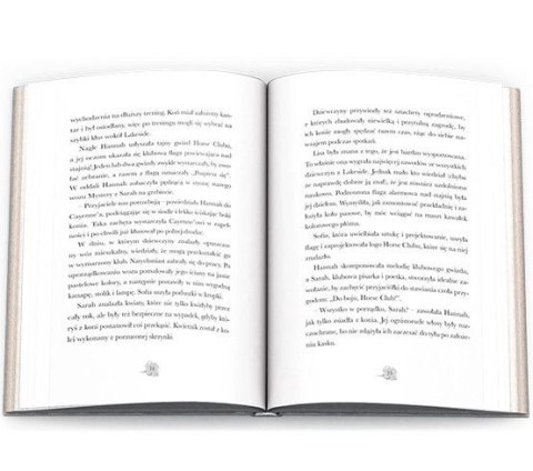 Książka dla dzieci HORSE CLUB. Niesamowity jeździec Ameet (CBH 8401)