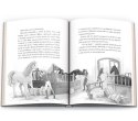 Książka dla dzieci HORSE CLUB. Niesamowity jeździec Ameet (CBH 8401)
