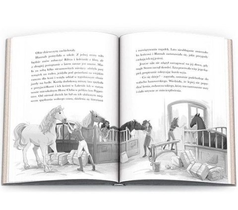 Książka dla dzieci HORSE CLUB. Niesamowity jeździec Ameet (CBH 8401)