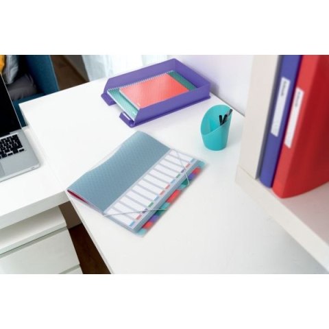 Teczka z przegródkami colour ice segregująca A4 kolor: niebieski 6 przegródek Esselte (626256)