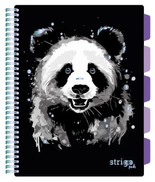 Kołozeszyt (kołonotatnik) PANDA A4 100k. 80g krata Strigo (PADS021)