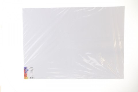 Brystol biały A1 biały 250g 1k Creatinio (400173613)