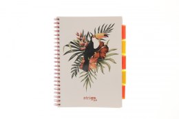 Kołozeszyt (kołonotatnik) PELIKAN biały A4 100k. 80g krata Strigo (PADS061)