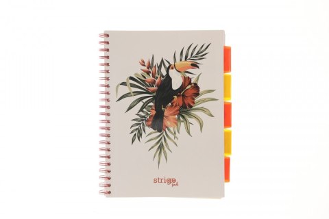 Kołozeszyt (kołonotatnik) PELIKAN biały A4 100k. 80g krata Strigo (PADS061)