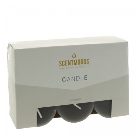 Świeca pieńkowa 5x5cm 6szt., w kolorze Black Pavoncella (8720935400912)