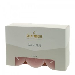 Świeca pieńkowa 5x5cm 6szt., w kolorze Coral Pavoncella (8720935400882)