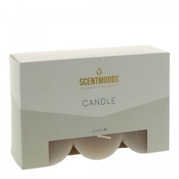 Świeca pieńkowa 5x5cm 6szt., w kolorze Taupe Pavoncella (8720935400929)