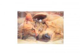 Teczka plastikowa na guzik FRIENDSHIP A5 mix Panta Plast (0410-0069-55)