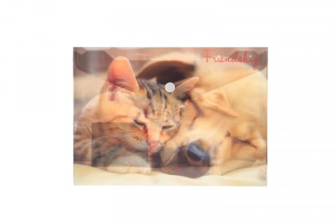 Teczka plastikowa na guzik FRIENDSHIP A5 mix Panta Plast (0410-0069-55)