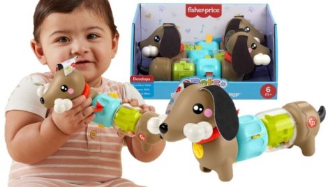 Zabawka edukacyjna jamnik aktywizujący Fisher Price (HTW91)