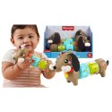 Zabawka edukacyjna jamnik aktywizujący Fisher Price (HTW91)