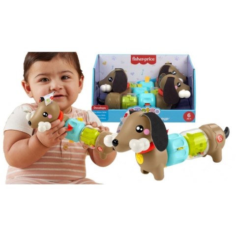 Zabawka edukacyjna jamnik aktywizujący Fisher Price (HTW91)