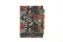 Kołozeszyt (kołonotatnik) PAPUGA czarny A4 100k. 80g krata Strigo (PADS60)