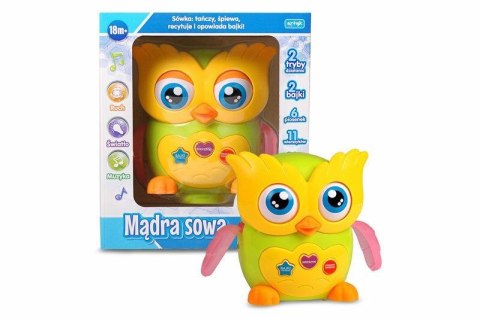 Zabawka edukacyjna mądra sowa Artyk (137792)